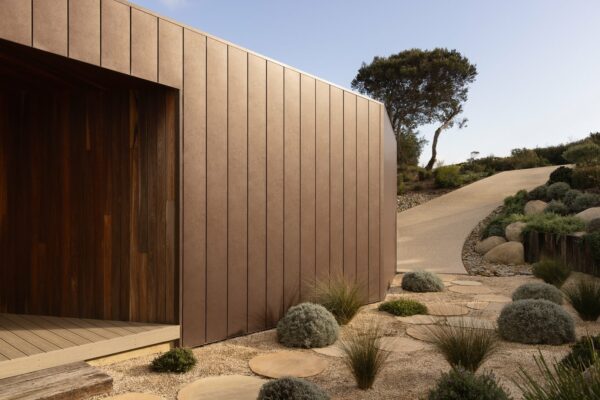 Kaye_1529_LR_FOR INSTAGRAM